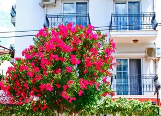 Melaike Otel
